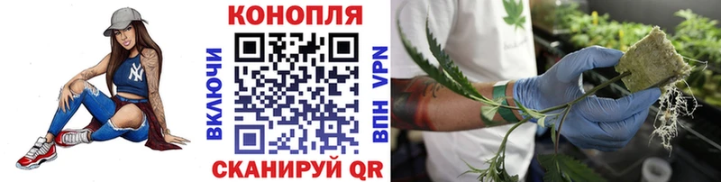 цена наркотик  Никольск  МАРИХУАНА THC 21% 